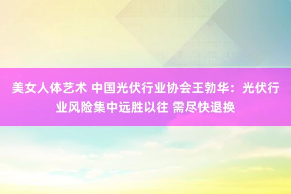 美女人体艺术 中国光伏行业协会王勃华：光伏行业风险集中远胜以往 需尽快退换