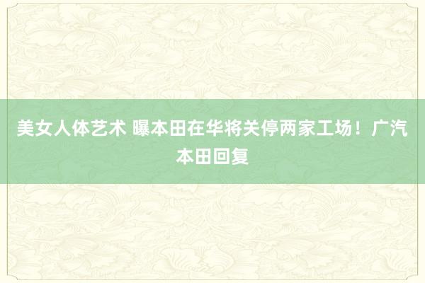 美女人体艺术 曝本田在华将关停两家工场！广汽本田回复