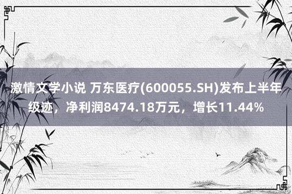 激情文学小说 万东医疗(600055.SH)发布上半年级迹，净利润8474.18万元，增长11.44%