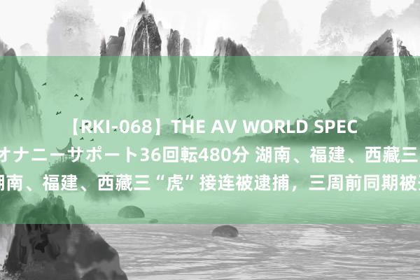 【RKI-068】THE AV WORLD SPECIAL あなただけに 最高のオナニーサポート36回転480分 湖南、福建、西藏三“虎”接连被逮捕，三周前同期被开除党籍