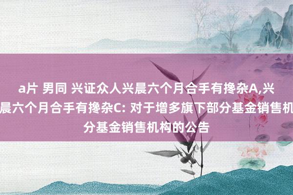 a片 男同 兴证众人兴晨六个月合手有搀杂A，兴证众人兴晨六个月合手有搀杂C: 对于增多旗下部分基金销售机构的公告