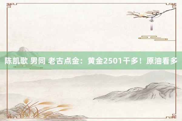 陈凯歌 男同 老古点金：黄金2501干多！原油看多